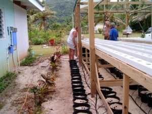 Watering Veggies 