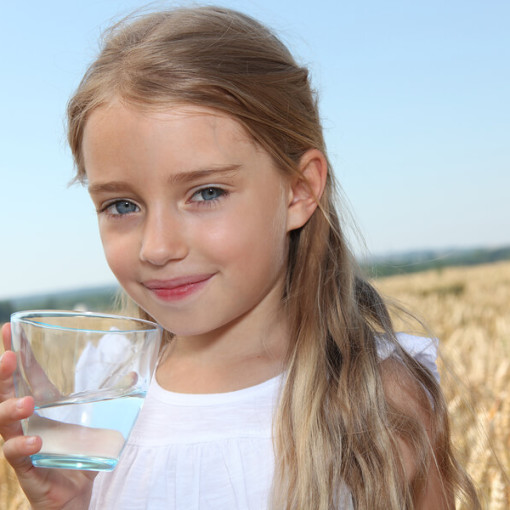 Why need a water filter