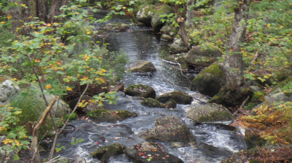 Natural Healthy Water